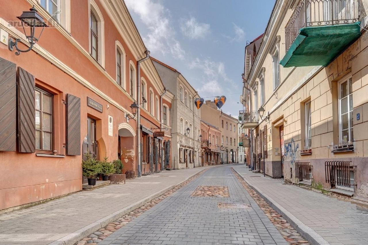 Old Town Saviciaus Street * Vilnius